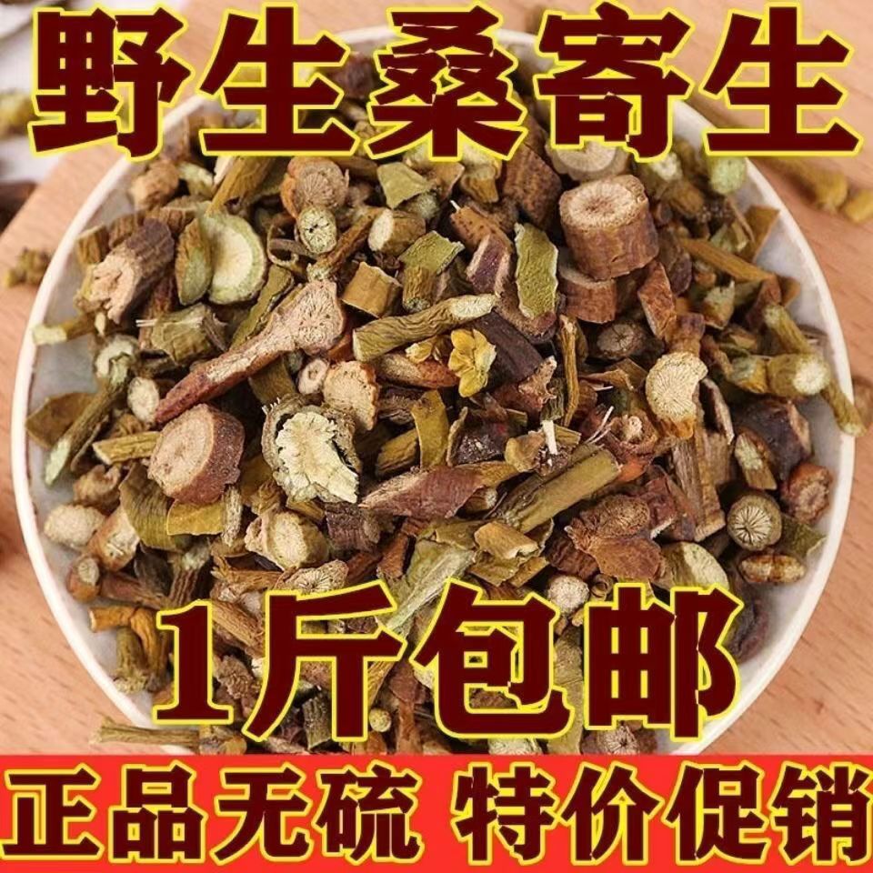 中药材 野生桑寄生 寄生 冬青 槲寄生 广寄生 500克包邮