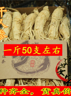 吉林长白山人参 整枝带须 500克45支左右生晒原皮人参 泡酒白参