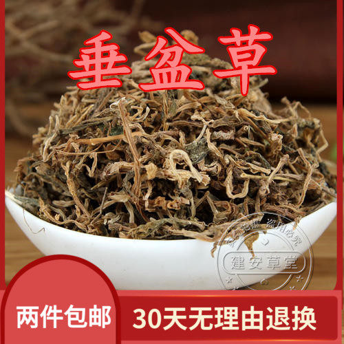 中药材垂盆草 狗牙齿 石指甲 养鸡草 瓜子草 中药材 500克2斤包邮
