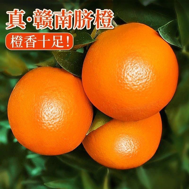 正宗江西赣州赣南脐橙新鲜薄皮橙子整箱水果批发精品大果A,水产肉类/新鲜蔬果/熟食,橙,淘宝优惠券,粉丝福利购,淘宝优惠卷