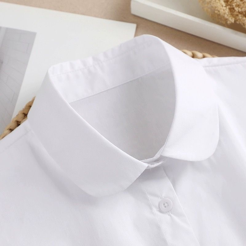 假领子女百搭新款秋冬春季配毛衣打底假衬衫荷叶立领娃娃翻领假领