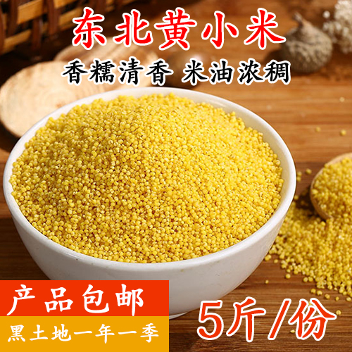 东北5斤小米粥月子自产粮食黄小米券后22.60元