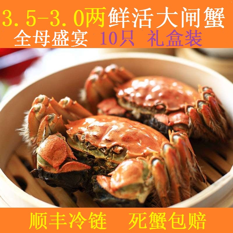 現貨10只全母鮮活正宗興化紅膏大閘蟹螃蟹3.5-3兩禮盒裝順豐包郵