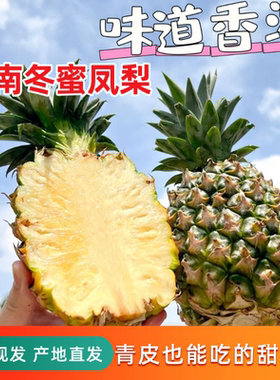 海南冬蜜凤梨新鲜水果牛奶凤梨手撕菠萝热带当季孕妇水果纯甜无酸
