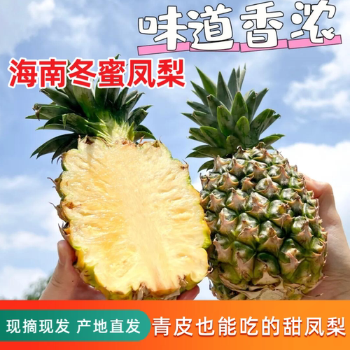 海南冬蜜凤梨新鲜水果牛奶凤梨手撕菠萝热带当季孕妇水果纯甜无酸