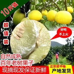 重庆梁平柚子平顶柚麻柚新鲜当季水果柚子正宗梁山柚带箱10斤现摘