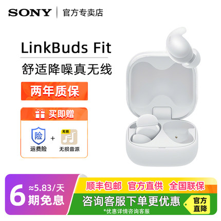 Sony/索尼 LinkBuds Fit 舒适降噪真无线蓝牙耳机新款运动入耳式