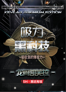 东区钓鱼竿双龙鲤圣龙骨凯芙拉5H双尾28调鲤竿手杆台钓竿 四折