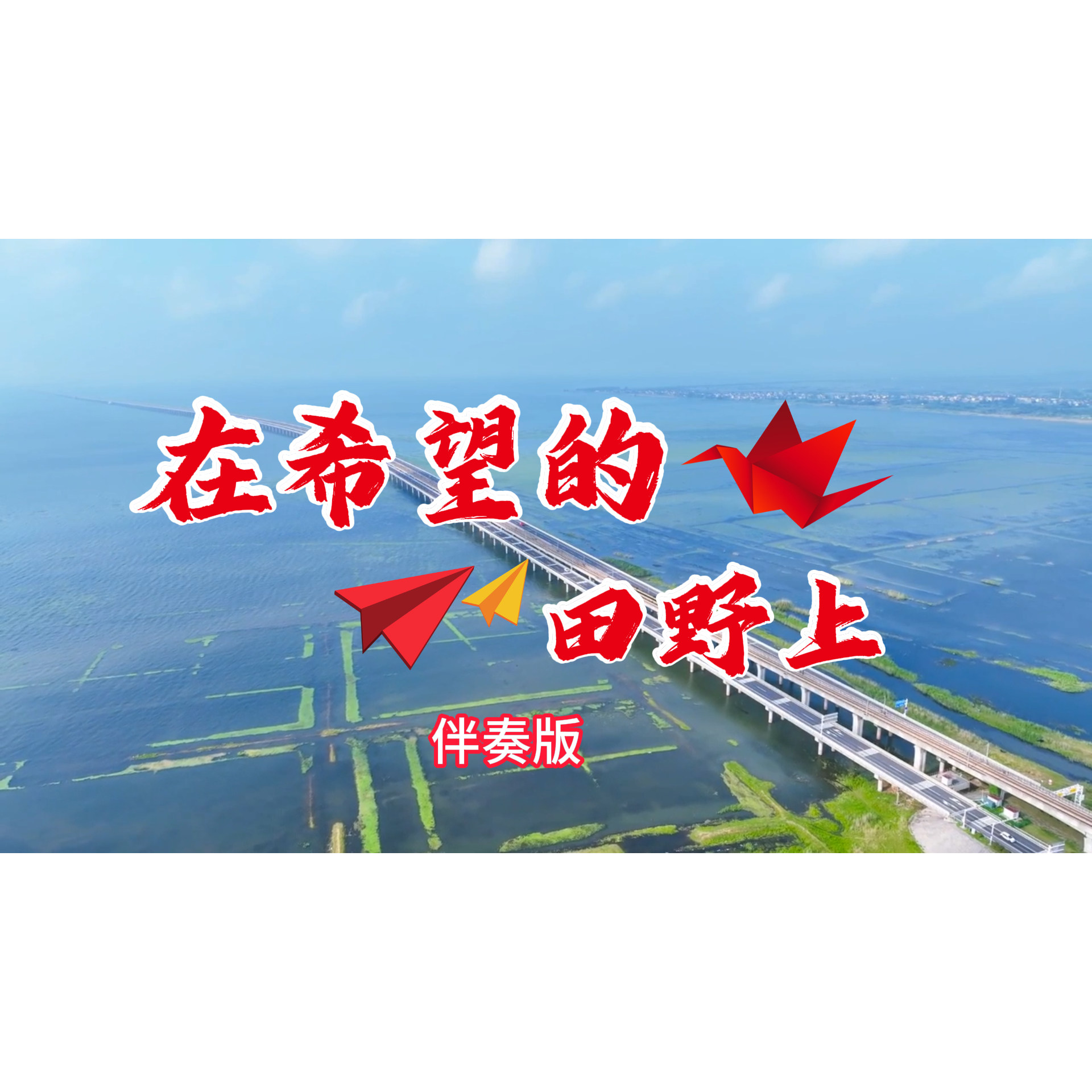 在希望的田野上 视频伴奏 大屏幕背景 舞台表演音乐高清视频