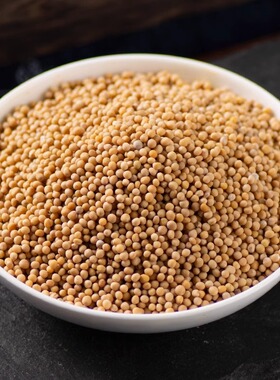 藏式火供用白芥子中药材野生白芥子粉芥菜子白芥子辣菜子500g1斤