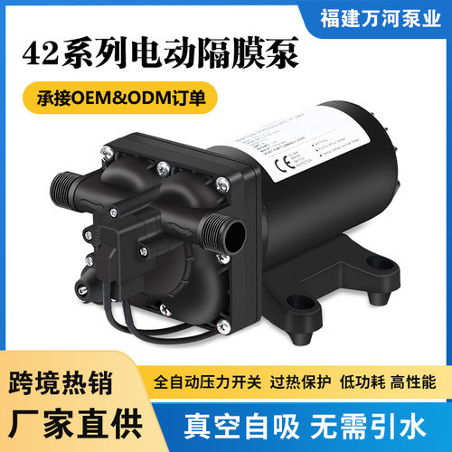 F42款220V交流隔膜泵高扬程大流量自吸泵供水清洗110V增压抽水泵