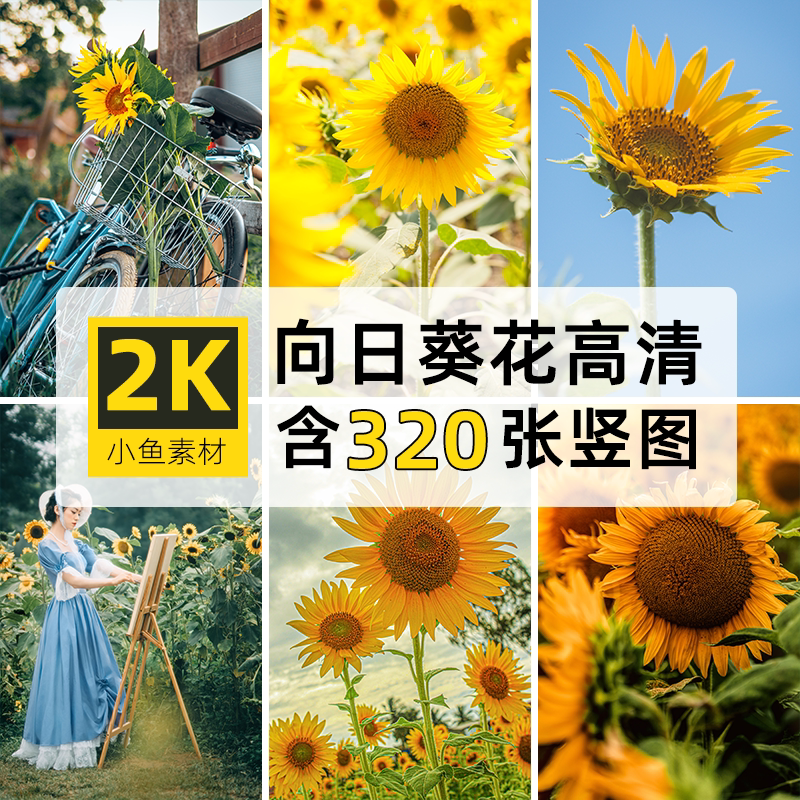 高清2k竖图片向日葵4k花海卉朵束自媒体抖音ps设计手机壁纸画素材