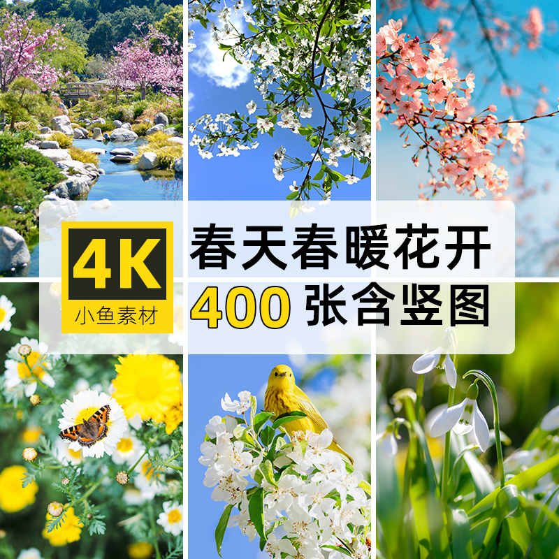高清4K竖图片春天海棠面朝大海春暖花开自媒体抖音PS设计壁纸素材