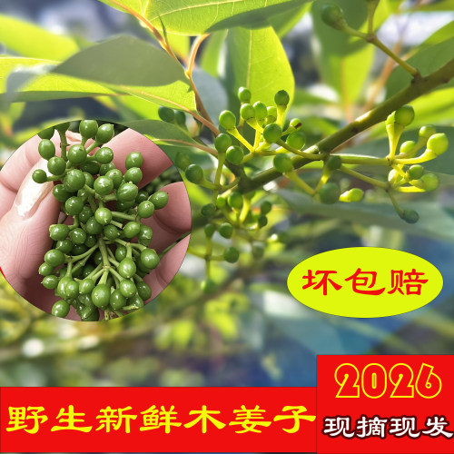 新鲜冰冻木姜子（山胡椒）
