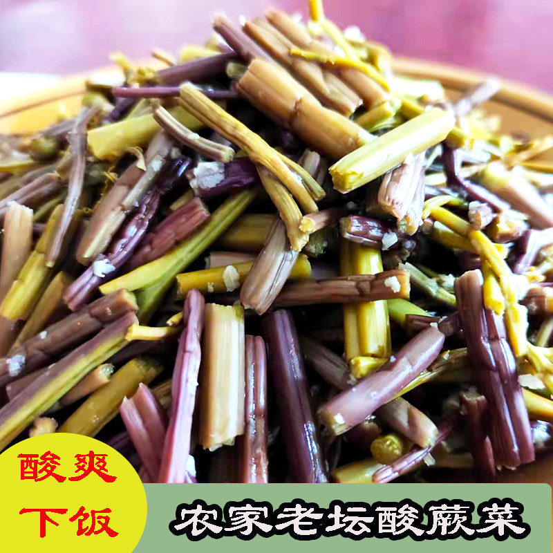野生新鲜酸蕨菜现摘野菜龙爪菜应季蔬菜食用厥菜贵州农产品酸蕨菜