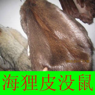 海狸皮褥子垫子马甲帽子加工定做皮毛质量等级多种领子水貂一百多