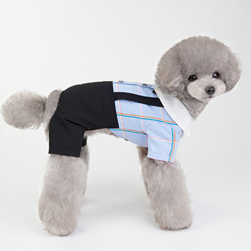宠物狗狗衣服背带情侣秋装礼服秋季薄款泰迪比熊博美雪纳瑞四脚衣
