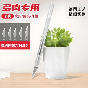 多肉砍头刀嫁接刀专用扦插园艺修根水仙雕刻刀月季芽接苗木剪植物
