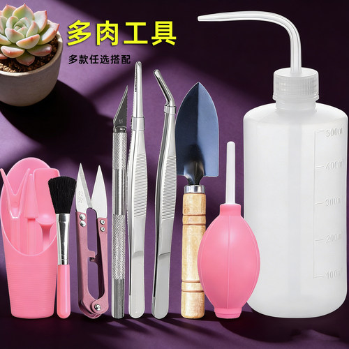【促销特价】多肉工具11件套