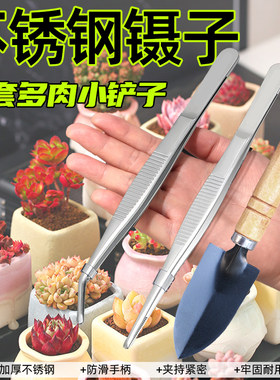 多肉种植工具铲子镊子水壶