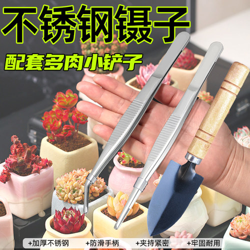 多肉种植工具铲子镊子水壶