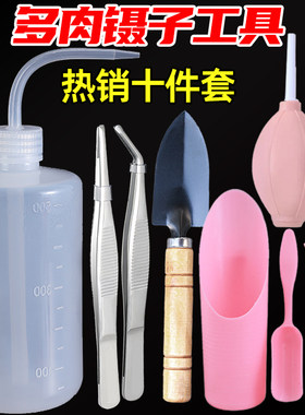 多肉镊子工具套餐十件套