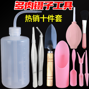 多肉工具套装不锈钢种植弯嘴水壶气吹刷子铲子桶铲起苗器园艺养花