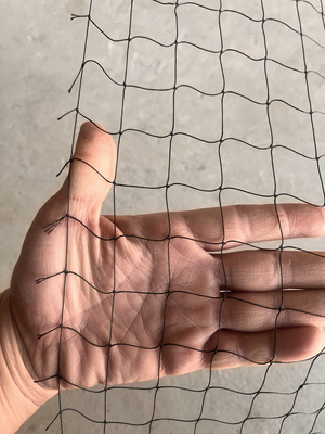 跨境防鸟网果园防护防猫网阳台防鸟用的2.5方形孔树防护罩菱形孔