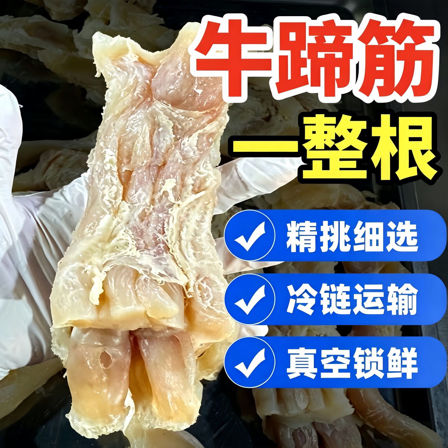 新鲜牛筋牛蹄筋商用半成品批发