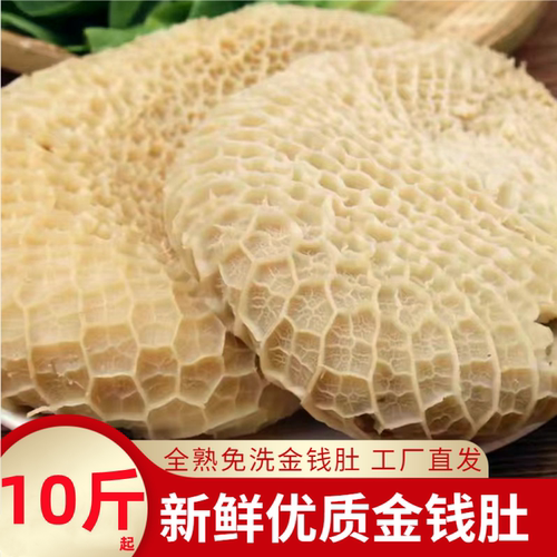 冷冻熟牛金钱肚商用半成品批发