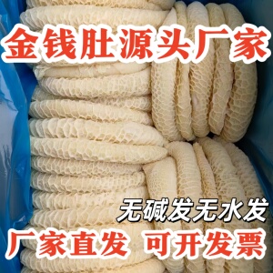 牛肚金钱肚新鲜商用批发