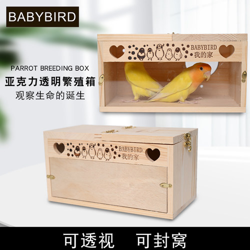 鸟窝繁殖箱松木透明全景亚克力