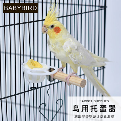 固定夹喂养鸡蛋托喂食器鸟用蔬菜水果夹子用品塑料鹦鹉鸟笼配件