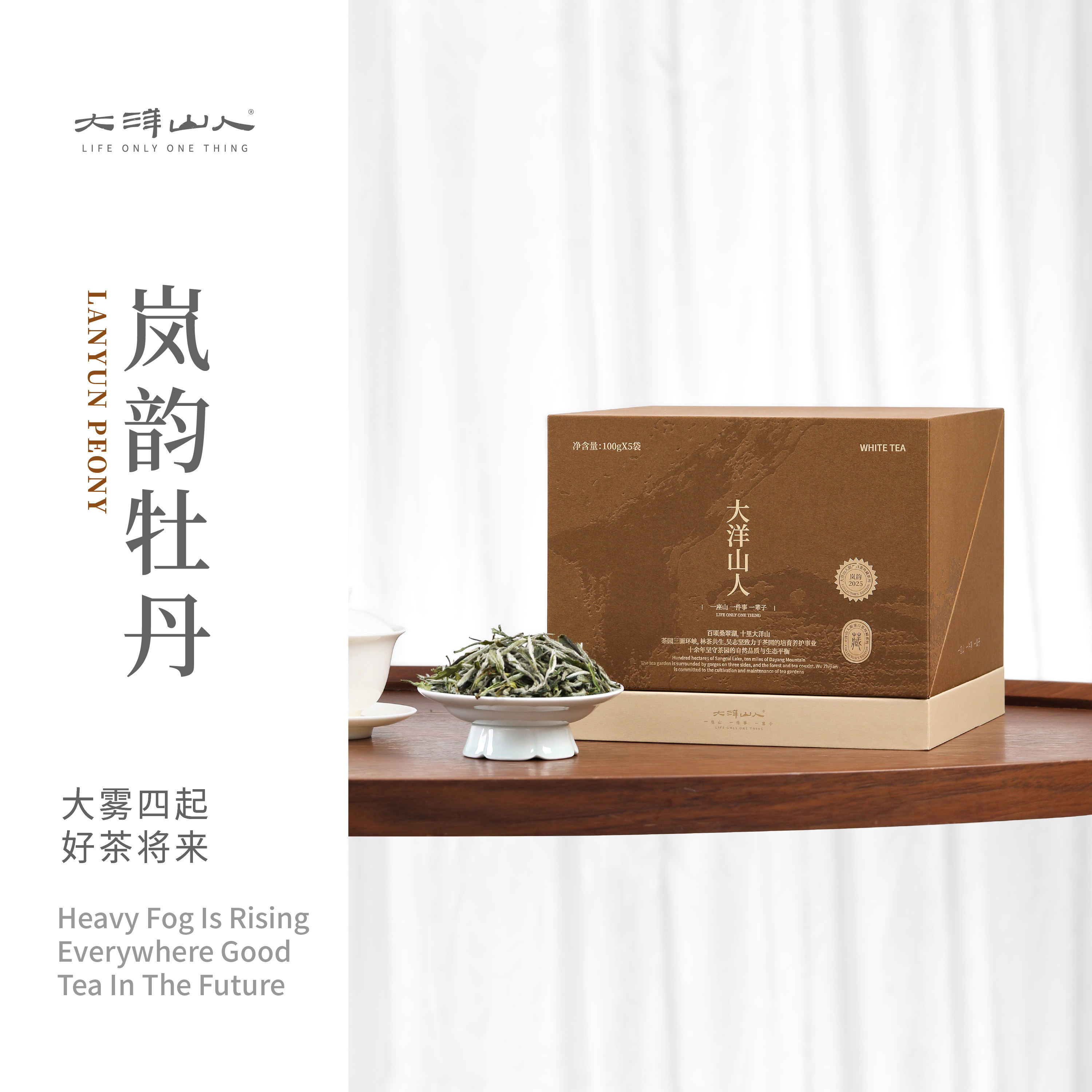 一叶九鼎福鼎白茶2025岚韵牡丹