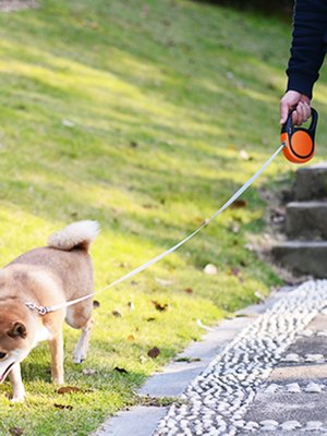 狗狗牵引绳自动伸缩遛狗绳子小型犬泰迪博美中型通用狗绳宠物用品