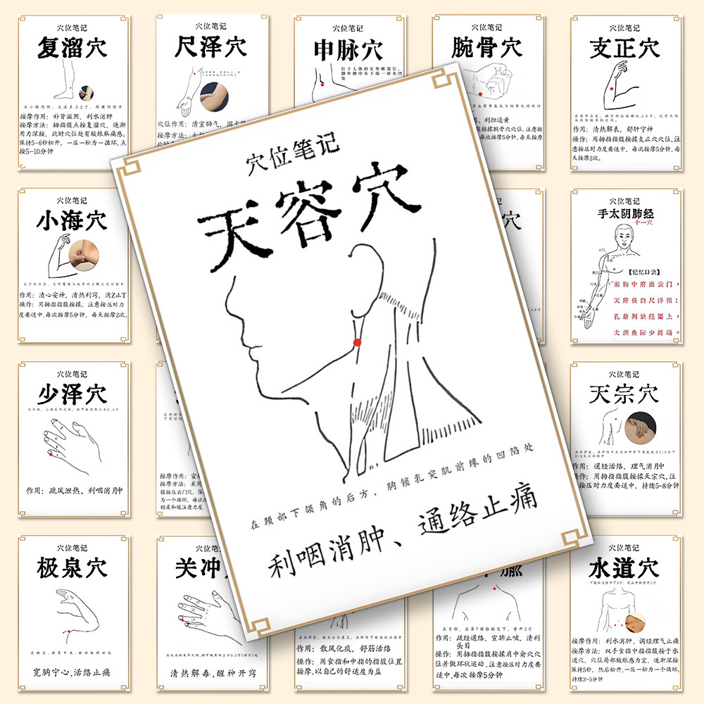 【低价】160张穴位笔记贴纸中医学习按摩养生笔记装饰diy手账墙面,文具电教/文化用品/商务用品,贴纸/立体贴纸,淘宝优惠券,粉丝福利购,淘宝优惠卷