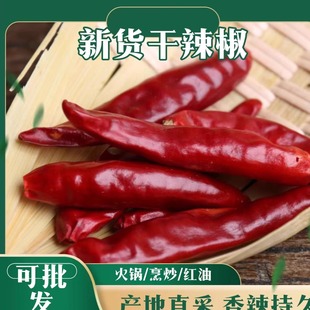 腾盛辣椒微辣超香小米印度椒新一代子弹头辣椒丝辣椒段家用商用