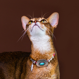 超敢伙伴【藏式01】高级猫项链饰品民族风吊坠猫脖圈阿比拍照项圈