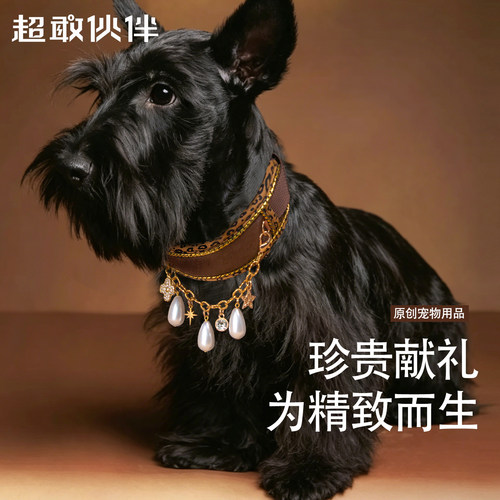 超敢伙伴鎏金豹纹皮质狗狗项圈