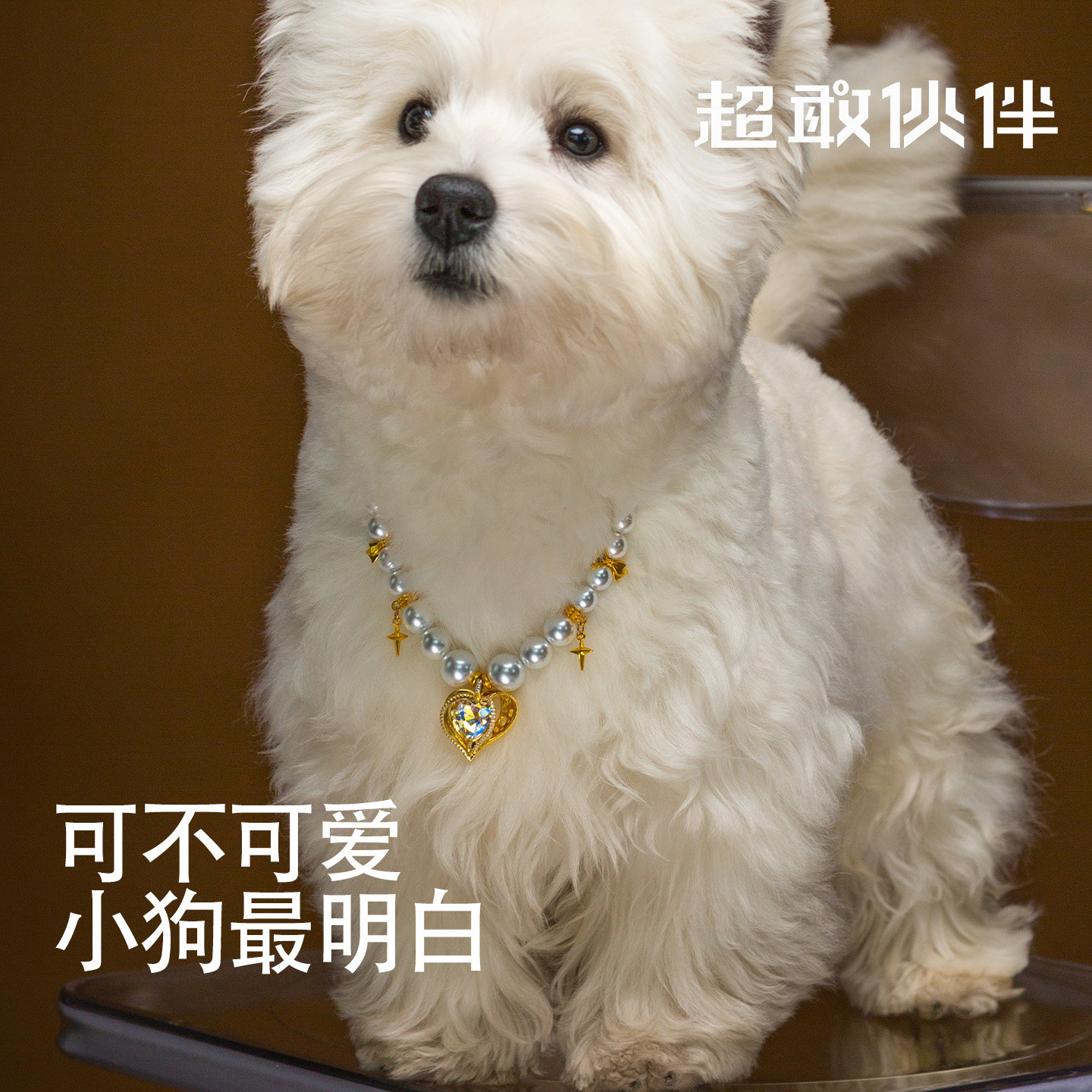 【超敢伙伴】幻彩心河珍珠贝珠狗狗猫咪项链高级比熊西高地泰迪熊