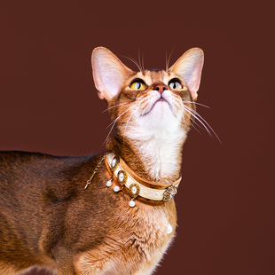 超敢伙伴【埃及08】柔软丝绒猫项圈珍珠手工项链阿比德文拍照道具