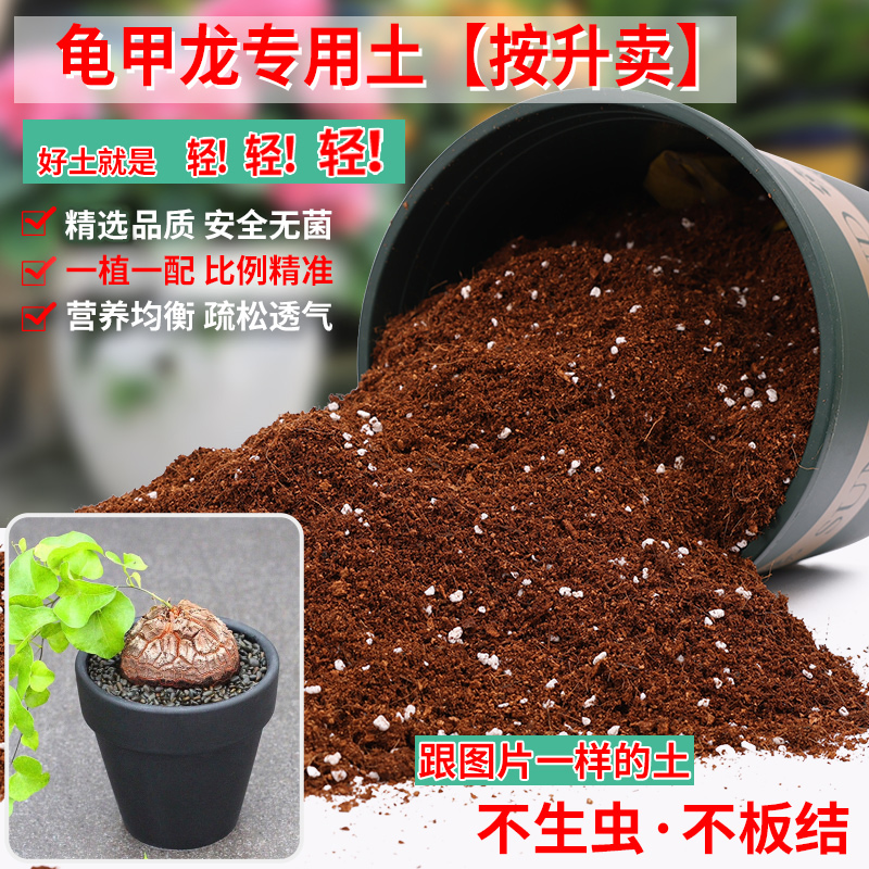龟甲龙专用土营养土轻质疏松透气
