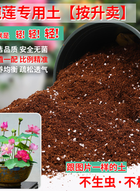 碗莲专用土天然荷塘泥睡莲水生植物专用营养土河塘泥淤泥种子土壤