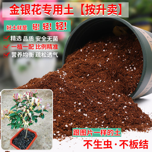 金银花专用土营养土轻质疏松透气