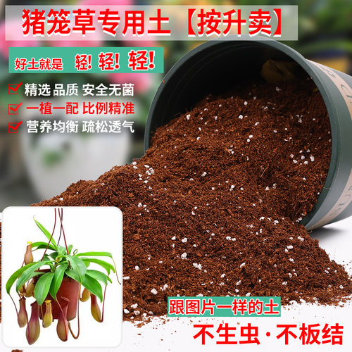 猪笼草专用土营养土轻质疏松透气