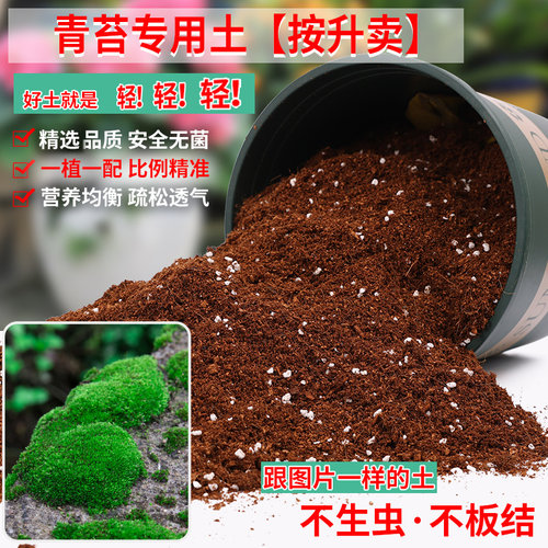 苔藓专用土营养土轻质疏松透气