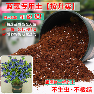 蓝莓专用土蓝莓树营养土瓜果树通用土壤蓝莓盆栽种植土有机土肥料