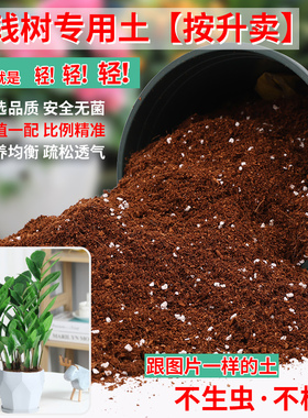 金钱树专用土营养土通用金钱树肥料专用肥盆栽泥土种植土壤有机土