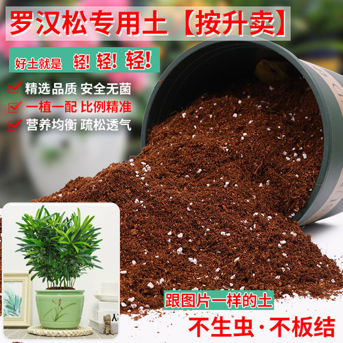罗汉松专用土营养土轻质疏松透气