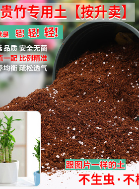 富贵竹专用土富贵竹土盆栽肥料花泥土营养土通用种植土壤养花种花